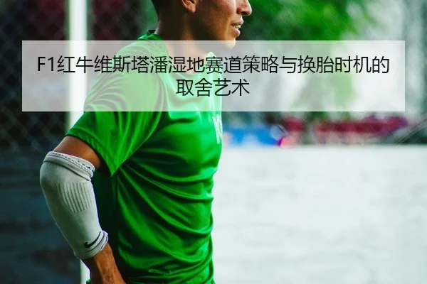F1红牛维斯塔潘湿地赛道策略与换胎时机的取舍艺术